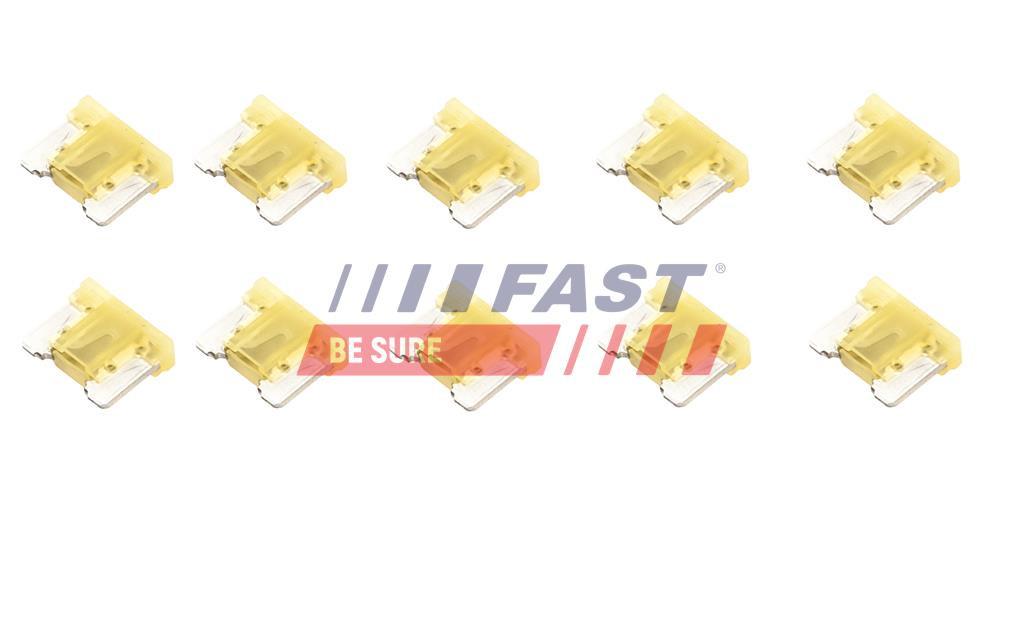 FUSIBLE - TYPE PLAQUETTE/BLADES TP MINI TYP II 20A (10 PSC).