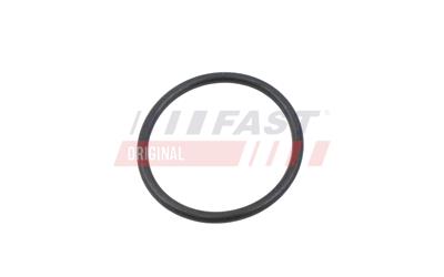 FT10368_2.jpg