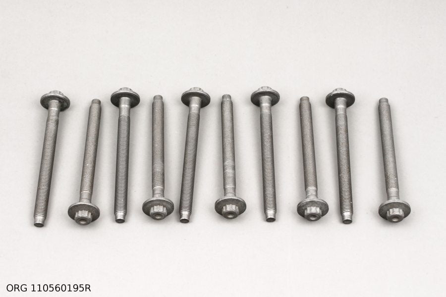 *Pièce d’origine vis de culasse pour Renault 1.6DCI, 110560195R.