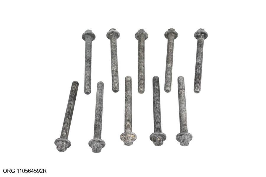 *Pièce d’origine vis de culasse pour Renault 1.5Blue dCi, 110564592R.