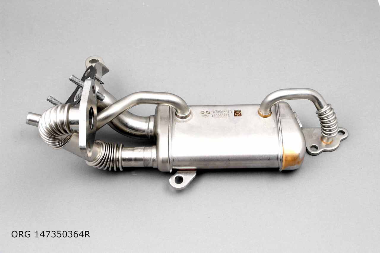 Pièce d’origine échangeur de chaleur EGR 1.5dCi, 12- pour Renault, 147350364R/L