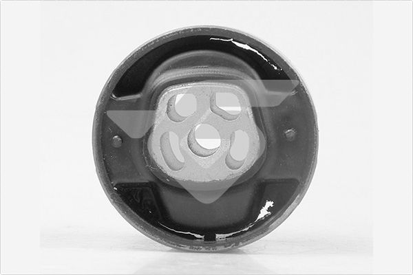 Support moteur — Hutchinson 594381