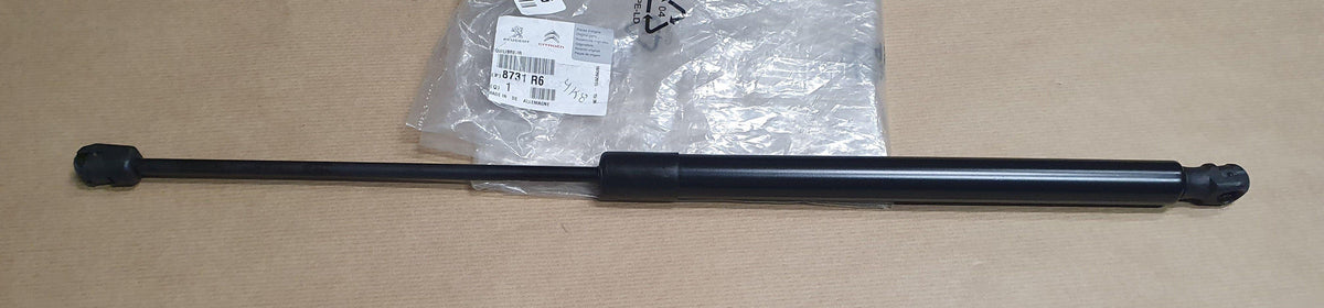 ACTIONNEUR HAYON CITROEN C5 III 8731.R6 8731R6.