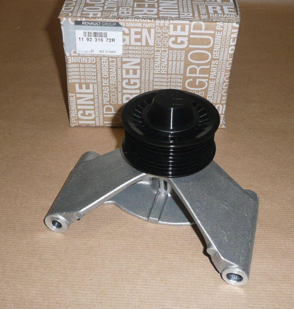 ROULEAU DE GUIDAGE DE COURREOIE TRAPÉZOI 119231672R.