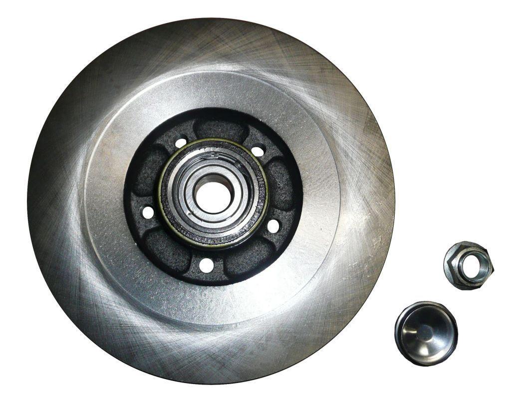 DISQUE DE FREIN.RENAULT LAGUNA III ARRIERE 402020003R.