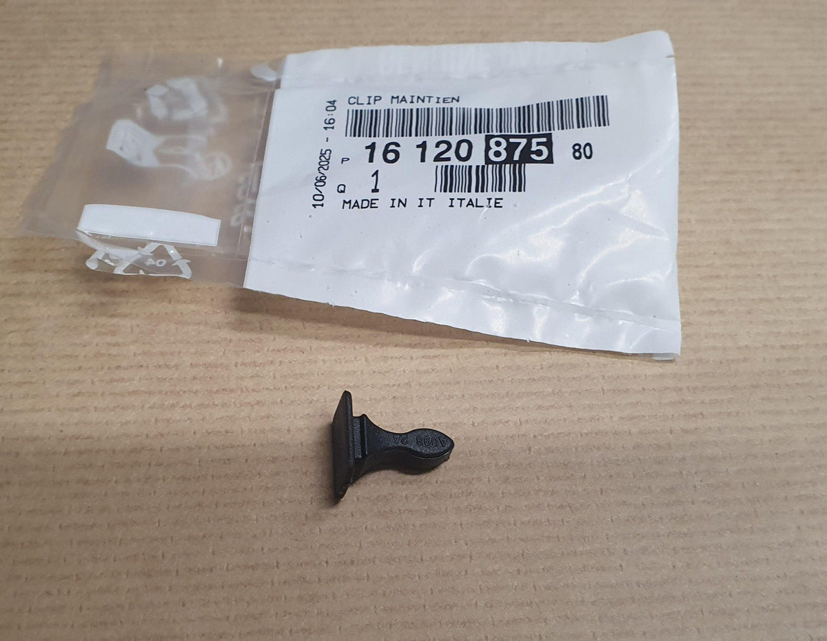 AGRAFE DE GRILL PEUGEOT BOXER III 1612087580.