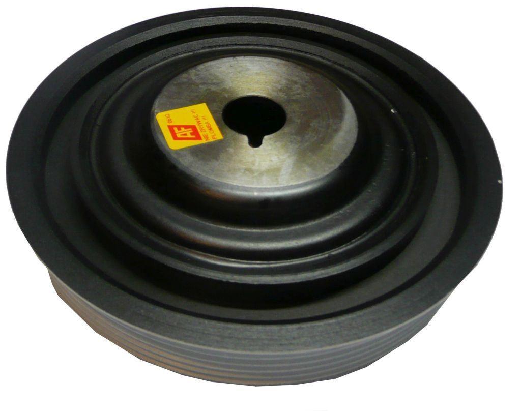 POULIE DE VILLEBREQUIN RENAULT CLIO III,MODUS 8200315270.