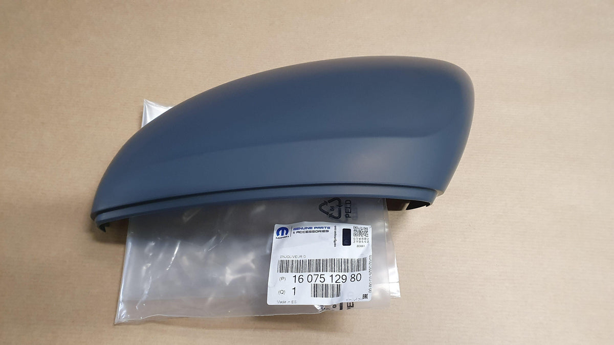 COUVERCLE RÉTROVISEURS CITROEN C3 III GAUCHE 1607512980.
