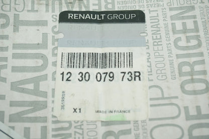 Pièce d'origine Volant moteur pour Renault Trafic II Master 123007973R