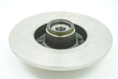Pièce d'origine Disque de frein arrière pour Renault Megane Scenic II 8660003911