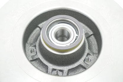 Pièce d'origine Disque de frein arrière pour Renault Megane Scenic II 8660003911