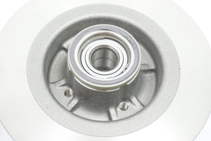Pièce d'origine Disques de frein arrière pour Renault Grand Scenic II 7701208230