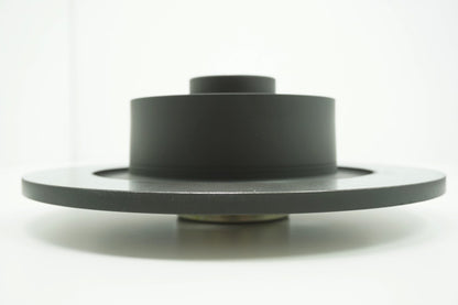 Pièce d'origine Disque de frein arrière 300 mm pour Renault Laguna III 402026061R