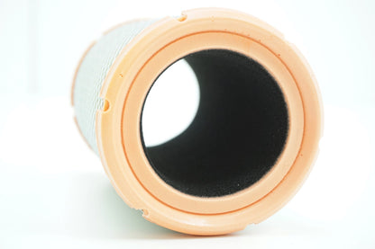 Pièce d'origine Filtre à air pour Renault Clio Kangoo Twingo 7701065985