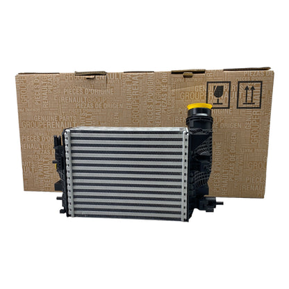 Pièce d'origine Intercooler pour Renault Megane IV RS 144964469R
