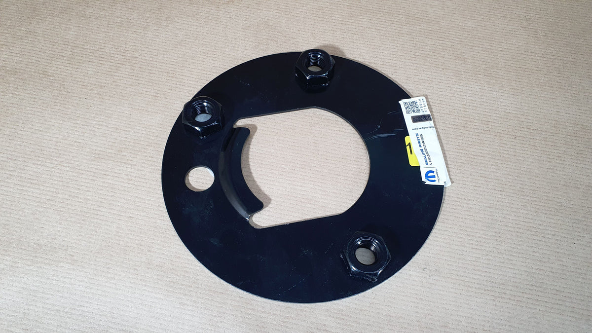 Plaque de fixation de roue de secours d’origine pour Peugeot Boxer III — 1363713080 — vue 3