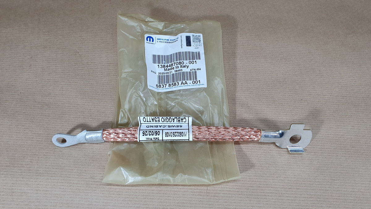 Câble de masse pour Fiat Ducato 2.2 — 1384487080 — vue 1