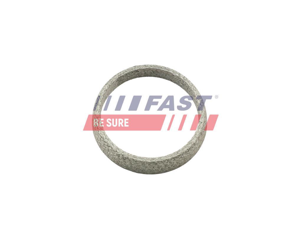 JOINT D`ÉTANCHÉITÉ, TUYAU D`ÉCHAPPEMENT FIAT DUCATO 06> ANNEAU 66 x 79 x 14,5.