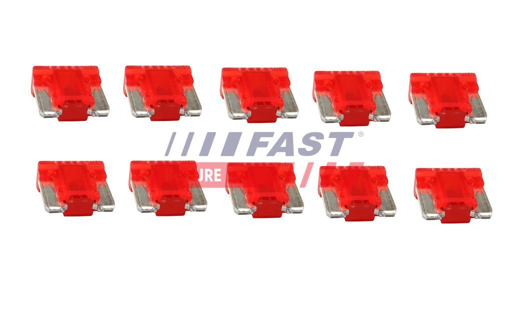 FUSIBLE - TYPE PLAQUETTE/BLADES TP MINI TYP II 10A (10 PSC).