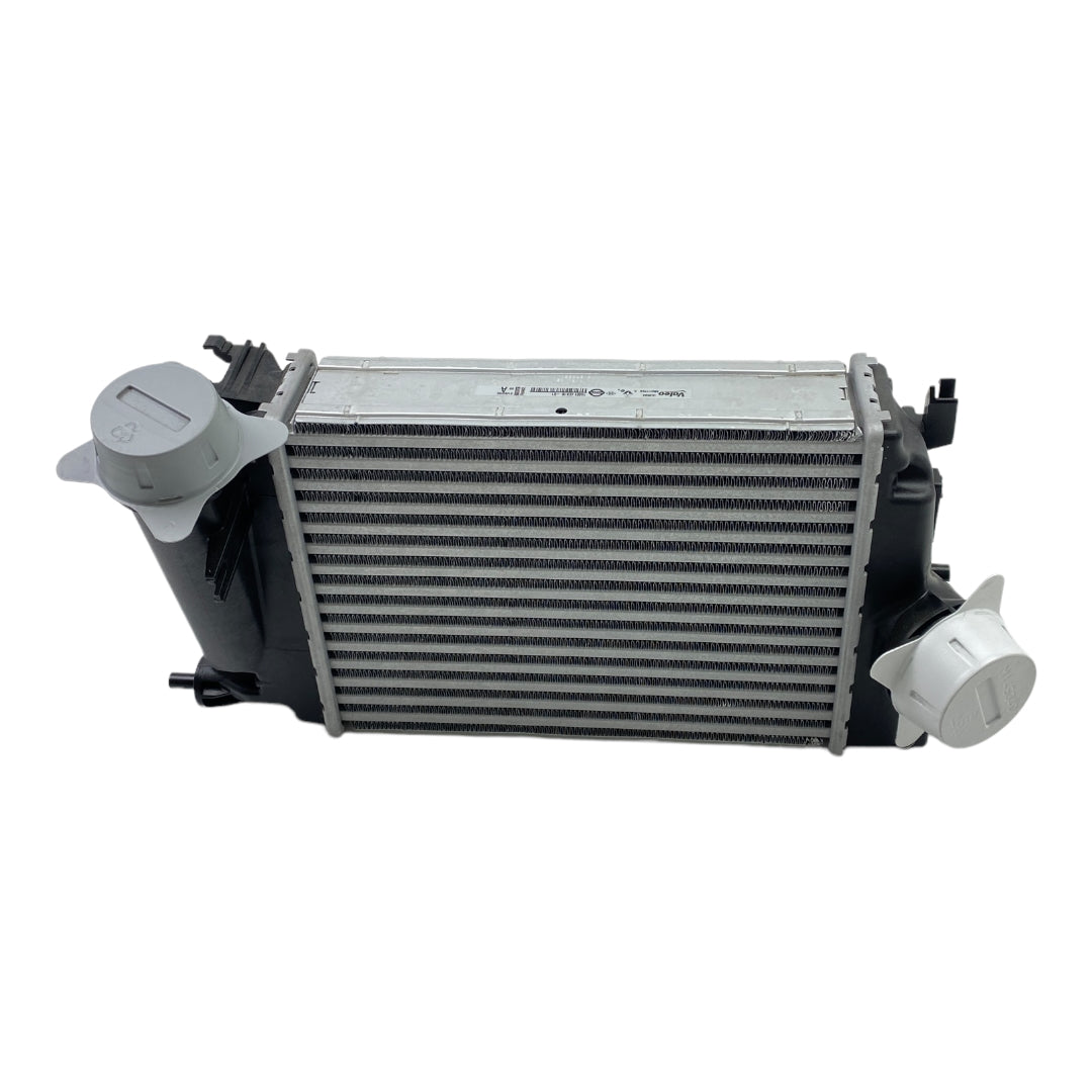 Pièce d'origine Échangeur d'air de suralimentation intercooler pour Renault Scenic IV Megane IV 144614EA1B