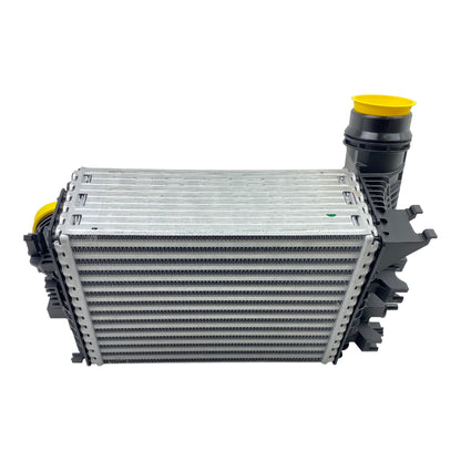 Pièce d'origine Intercooler pour Renault Megane IV RS 144964469R