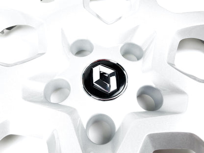 Pièce d'origine Enjoliveur de roue 16 pouces pour Renault 4031500.