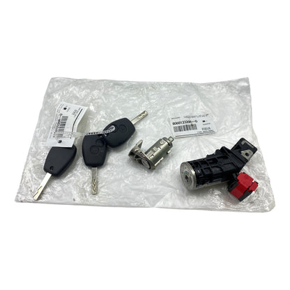 Pièce d'origine Neiman avec trois clés et barillet pour Renault Trafic III Master III Kangoo II Clio III 806012320R