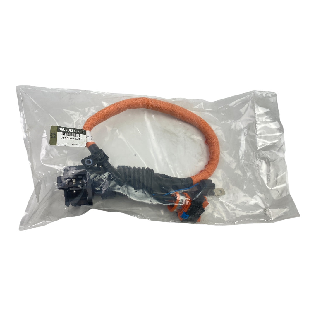 Pièce d'origine Câble de recharge avec prise pour Renault Twizy Z.E. 296958945R