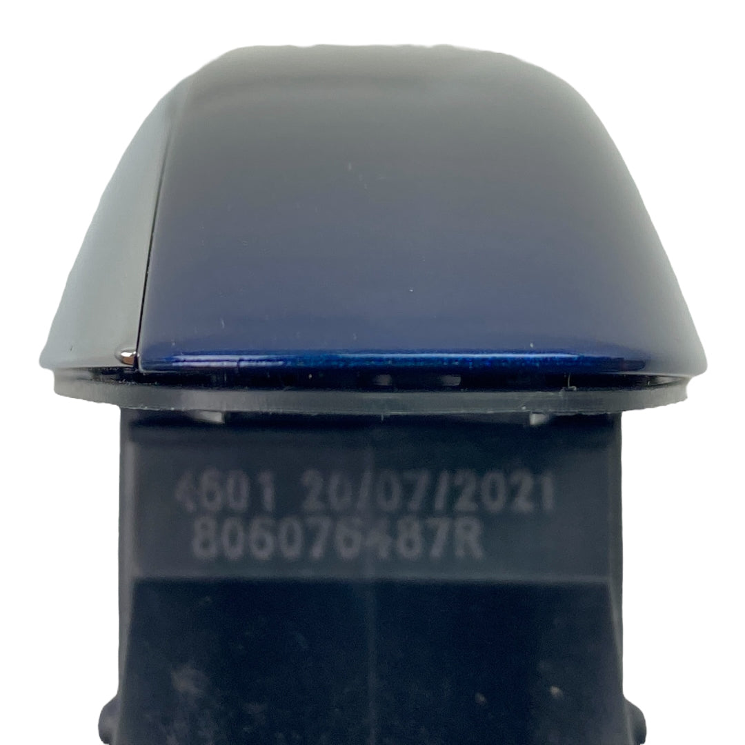 Pièce d'origine Poignée de porte chromée avant gauche pour Renault Scenic IV Espace V 806076487R