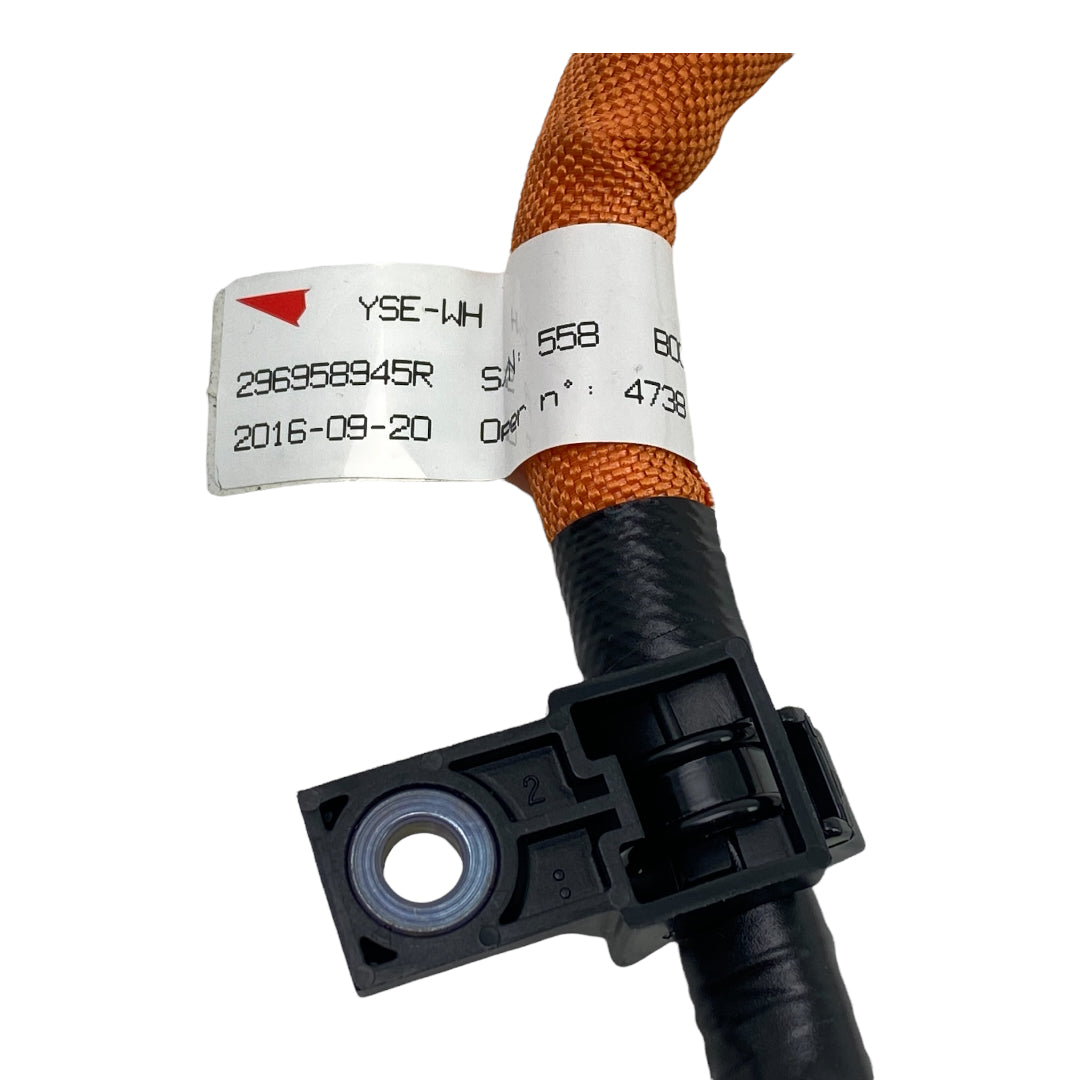 Pièce d'origine Câble de recharge avec prise pour Renault Twizy Z.E. 296958945R