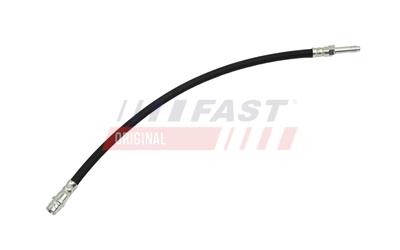 FT10106_1.jpg