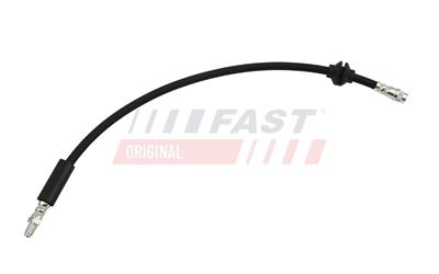 FT10116_1.jpg