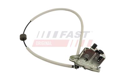 FT10139_1.jpg