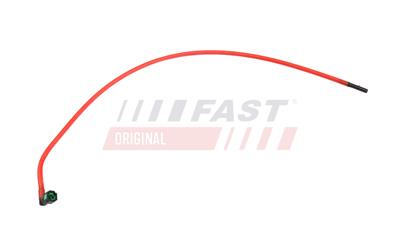 FT10358_1.jpg