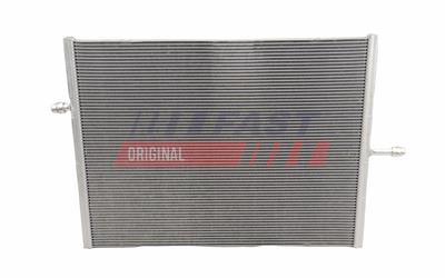 FT10915_1.jpg
