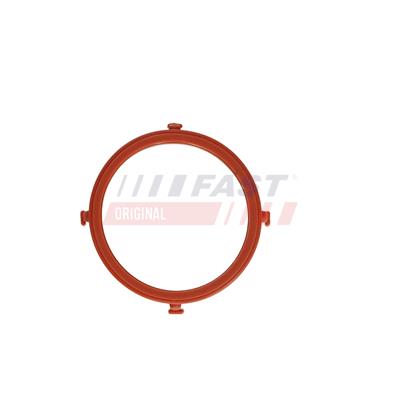 FT11902_1.jpg