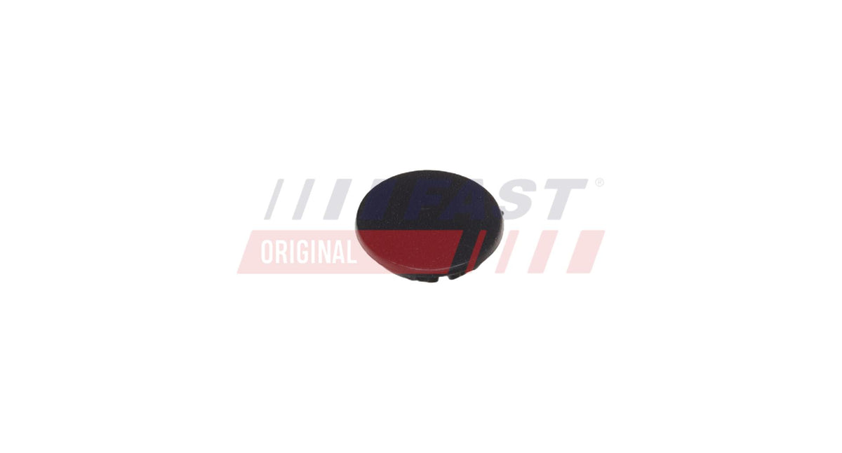 Cache de porte pour Iveco Daily — FT12815 — vue 1
