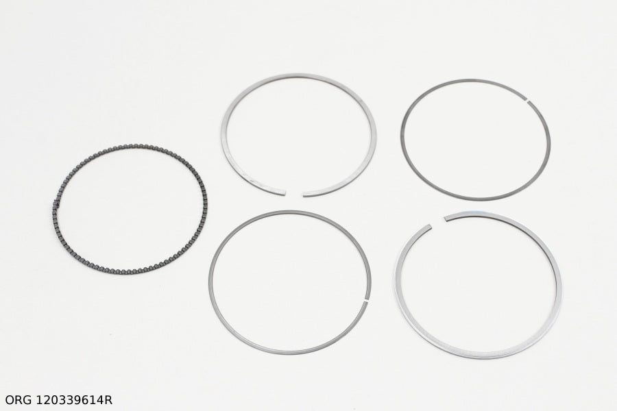 *Pièce d’origine support de fixation pour Renault 1.216V, 120339614R.