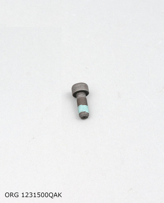 * Pièce d’origine vis de fixation du volant moteur bi-masse pour Renault 1.9dCi, ORG 1231500QAK.