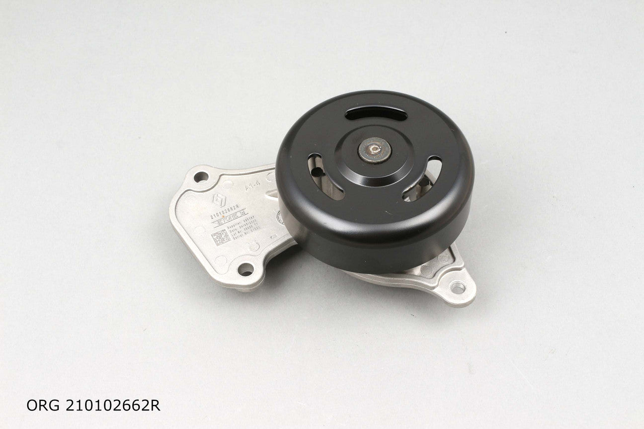 Pièce d’origine pompe à eau pour Renault 1.0 12V 4 D 75ch, 210102662R.