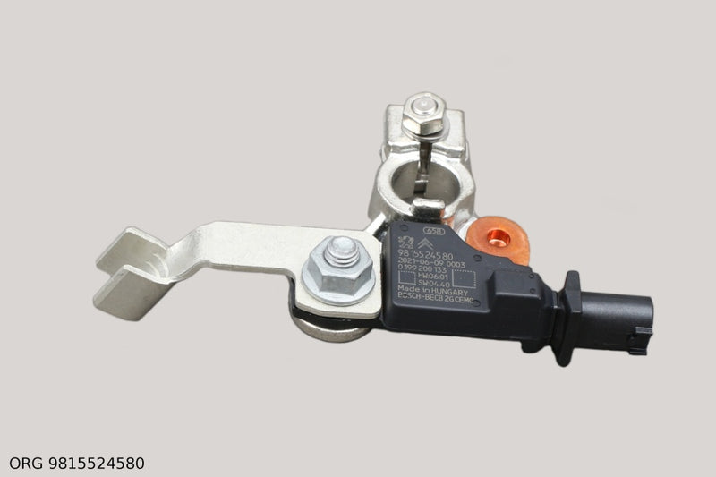 Module de charge de batterie d’origine PSA Citroën/Peugeot C5/407/508-18 – OEM 9815524580 – vue 1