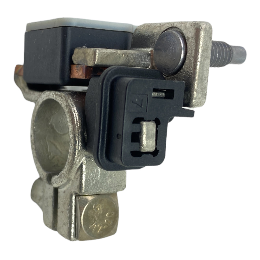 Pièce d'origine Cosse de batterie pour Renault Dacia Opel Fiat Nissan 250825784R