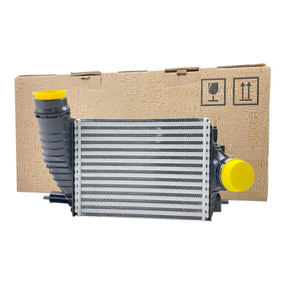 Pièce d'origine Intercooler pour Renault Megane IV RS 144964469R