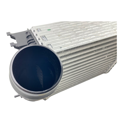 Pièce d'origine Intercooler pour Renault Megane IV RS 144964469R