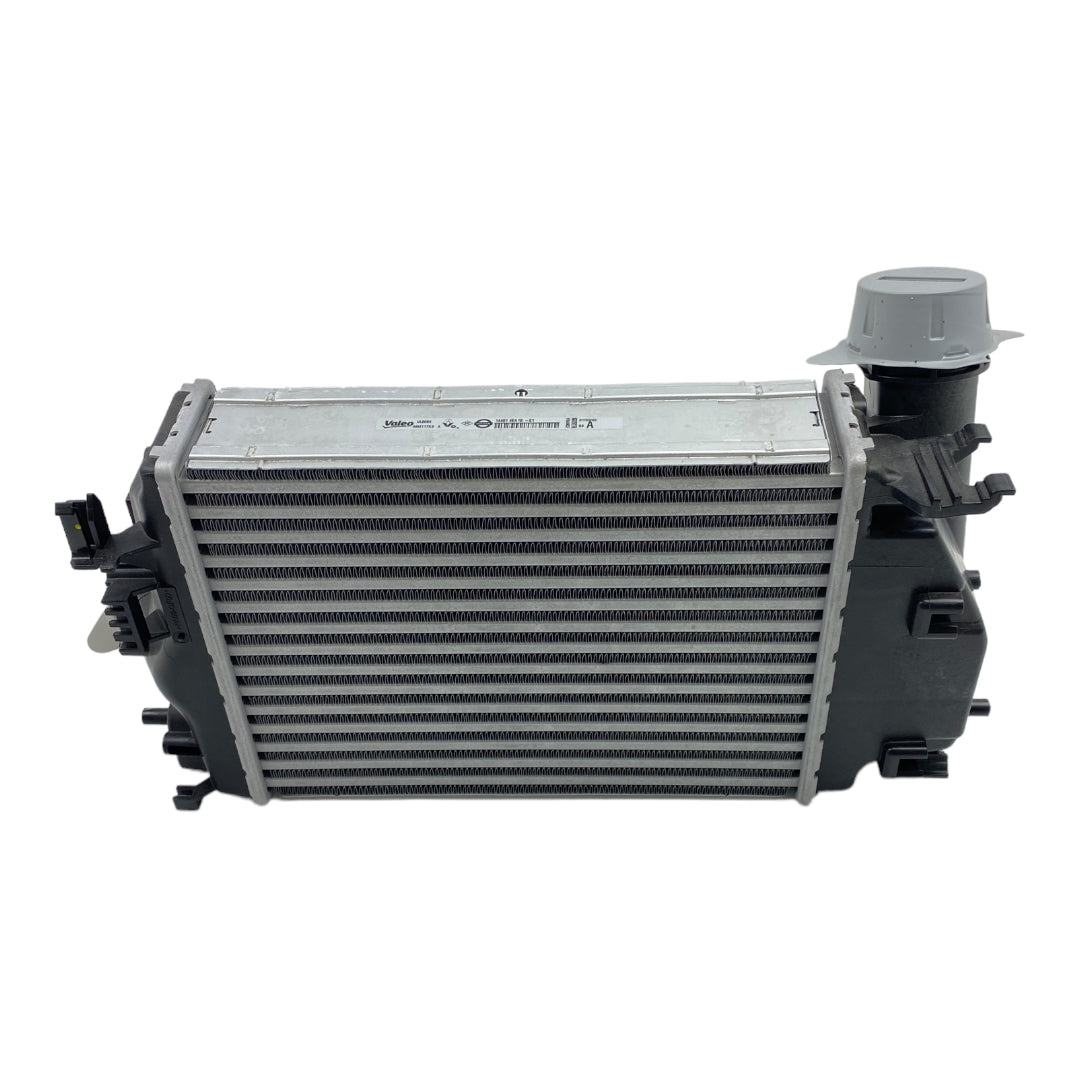 Pièce d'origine Échangeur d'air de suralimentation intercooler pour Renault Scenic IV Megane IV 144614EA1B