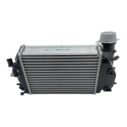 Pièce d'origine Échangeur d'air de suralimentation intercooler pour Renault Scenic IV Megane IV 144614EA1B