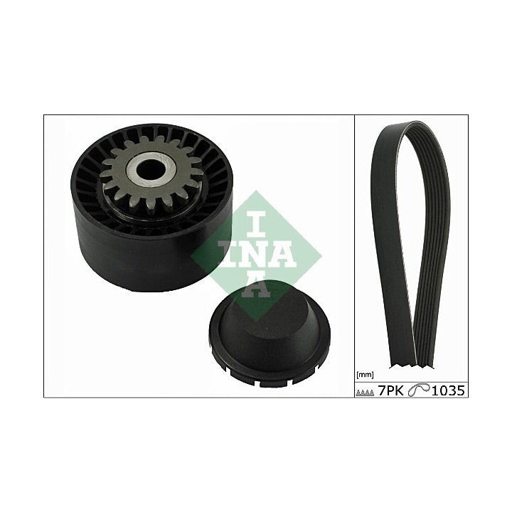Kit de courroie d’accessoires INA 529001610
