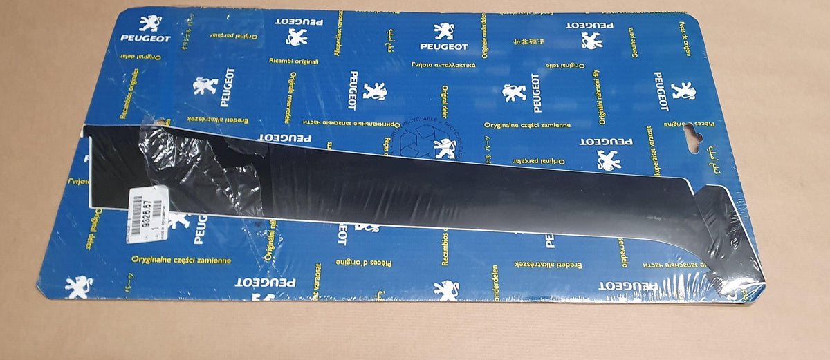 AUTOCOLLANT DE PORTE PEUGEOT 206 ARRIERE GAUCHE 9326.67 932667.