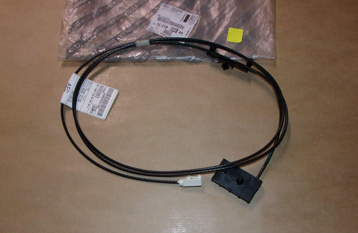 CÂBLE D'ANTENNE PEUGEOT BOXER III 1681988680.