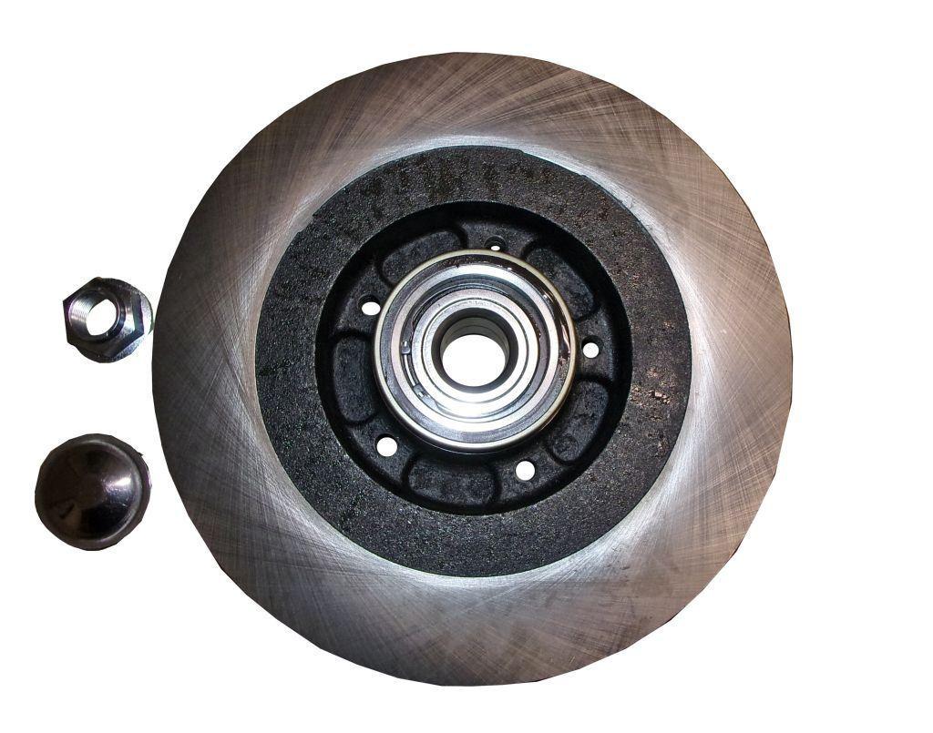 DISQUE DE FREIN.RENAULT SCENIC III ARRIERE 432021892R.